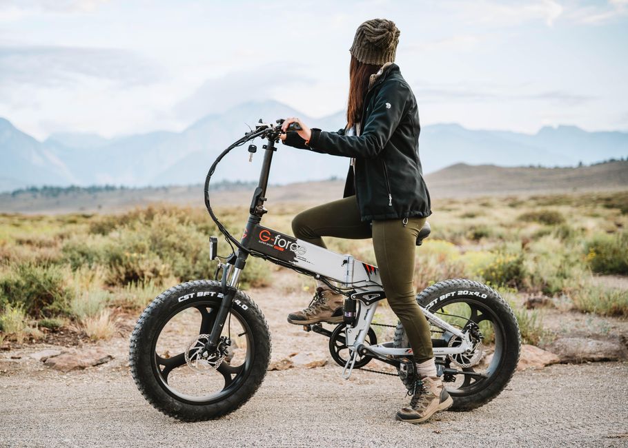 Costco E-Bike or Local Shop: Compare the Full Cost Before You Buy