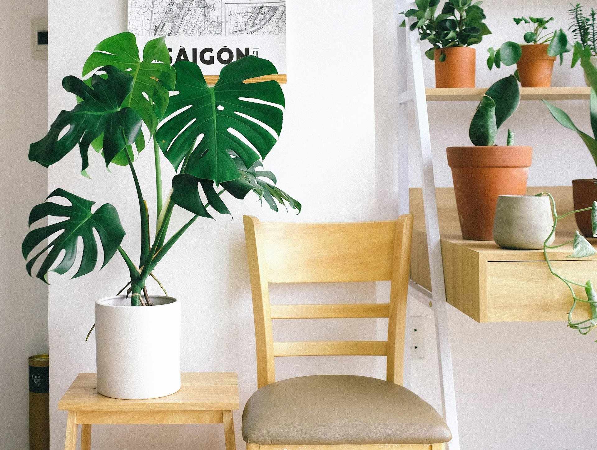 Transform Your Workspace: Expert Home Office Plant Styling Ideas for Wellness and Productivity