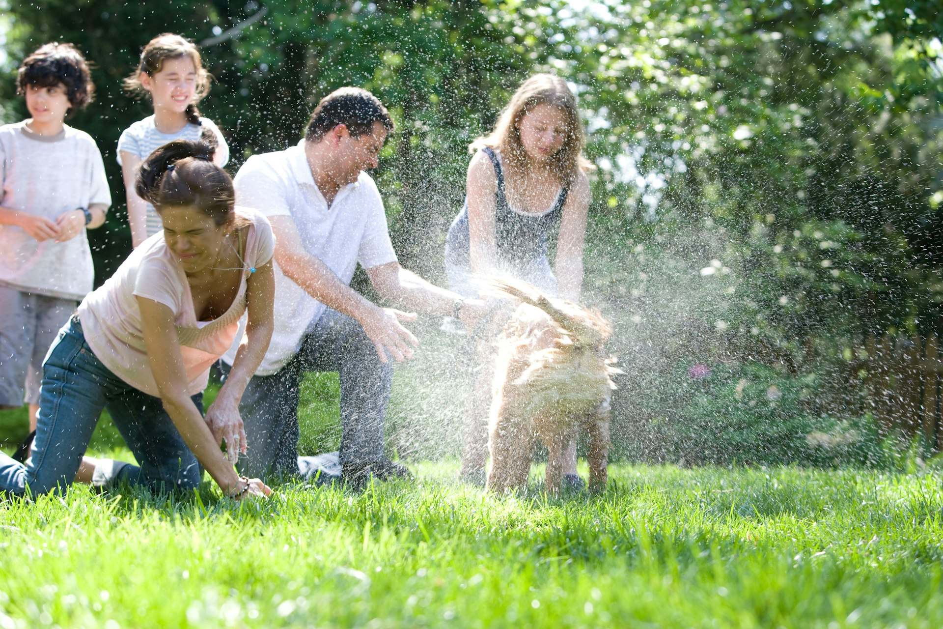 Transform Family Time: Practical Activities for a Healthier Lifestyle Together