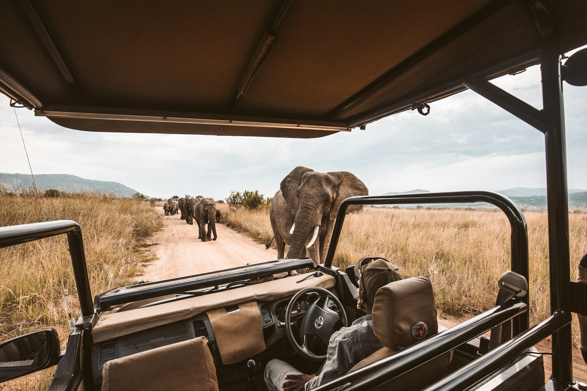 Discover the Ultimate in Comfort: Your Guide to Luxury Safari Travel Experiences